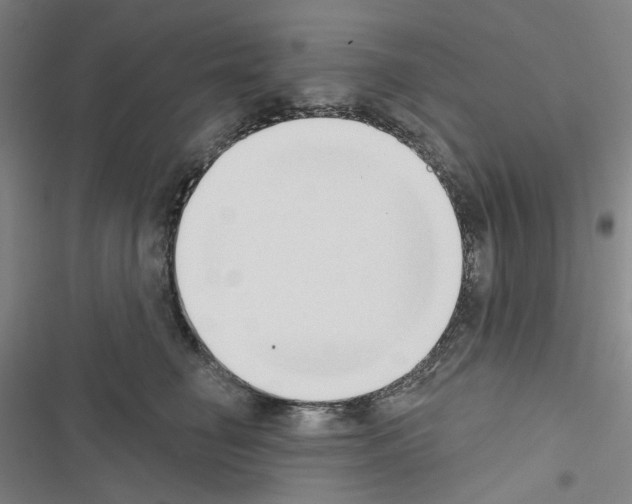 X0000116650662201001251158