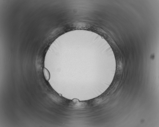 X0000116650663201001251158