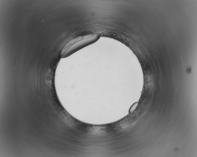 X0000116650664201001251158