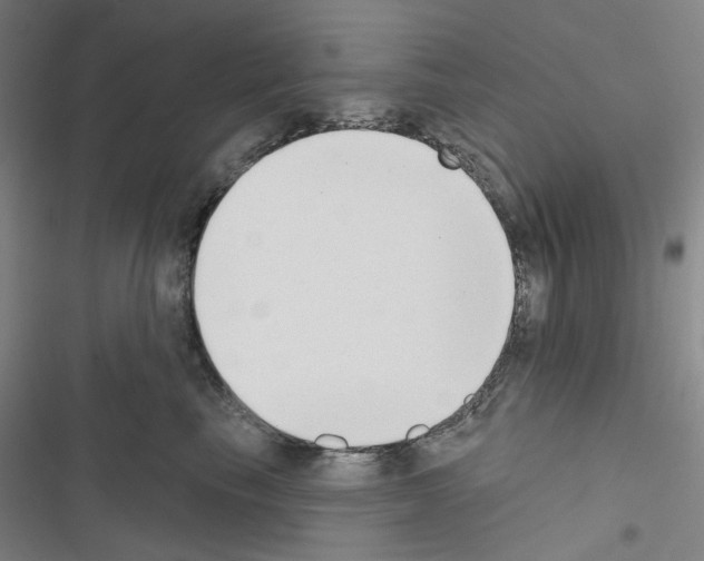 X0000116650665201001251158