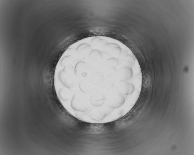 X0000116650666201001251158
