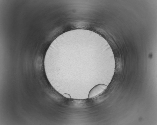 X0000116650667201001251158