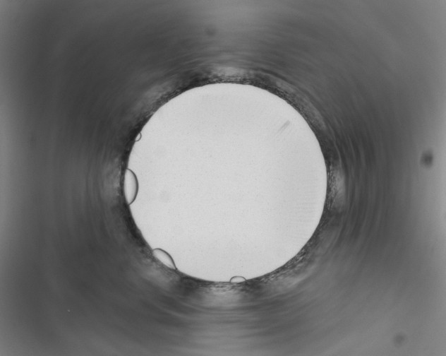 X0000116650668201001251158