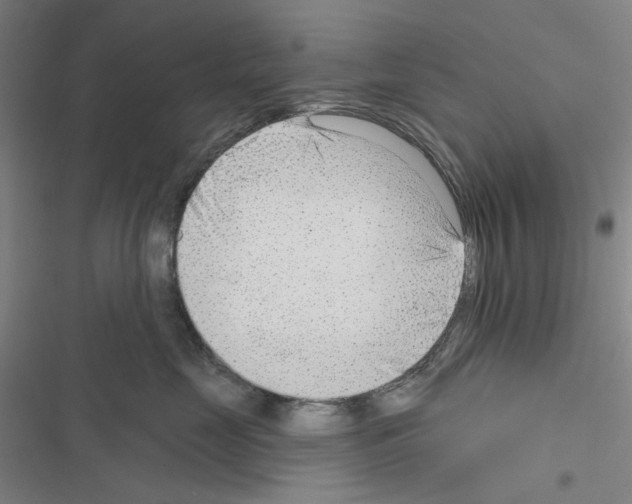 X0000116650669201001251158