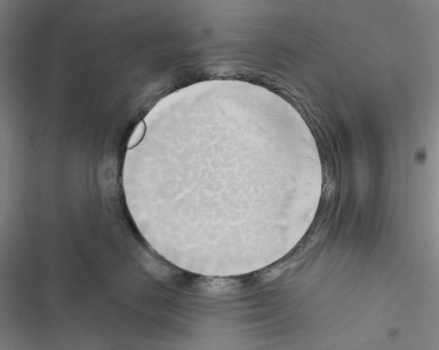 X0000116650670201001251158