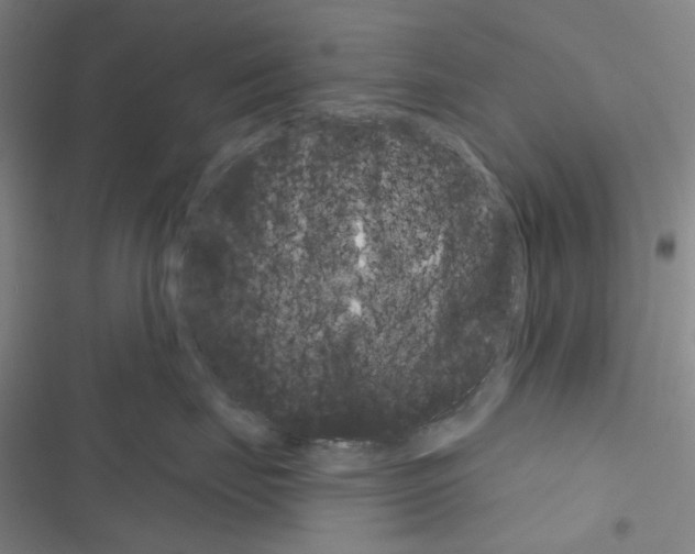 X0000116650671201001251158