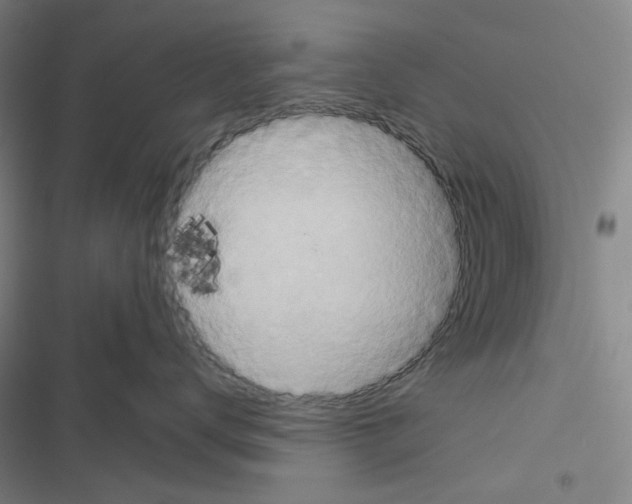 X0000116650672201001251158