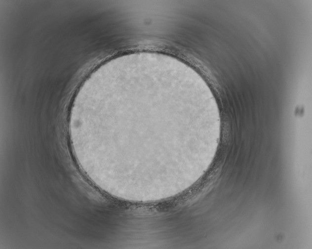 X0000116650673201001251157