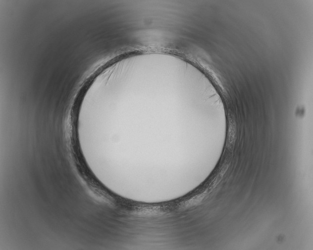 X0000116650674201001251157