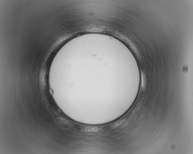 X0000116650675201001251157