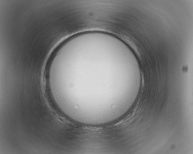 X0000116650676201001251157