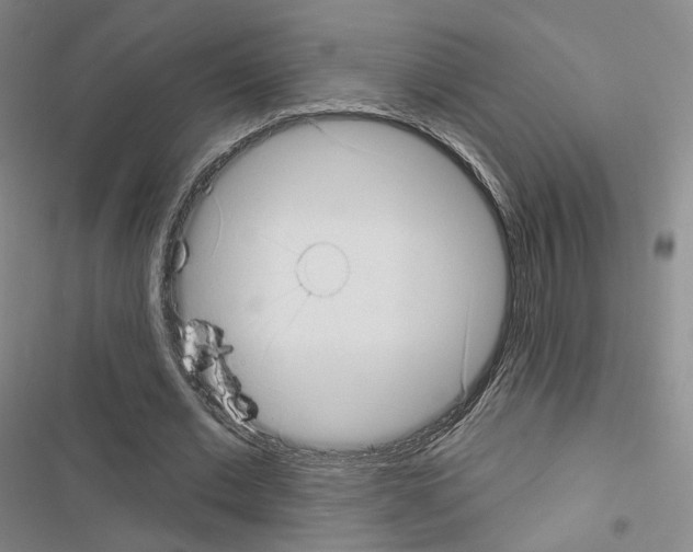 X0000116650677201001251157