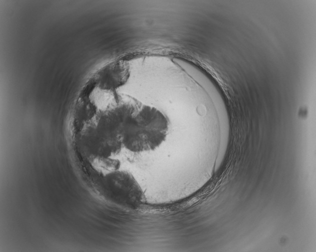 X0000116650679201001251157