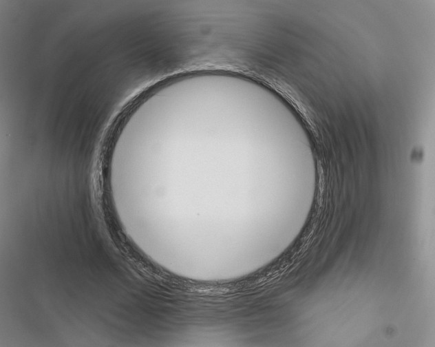X0000116650680201001251157