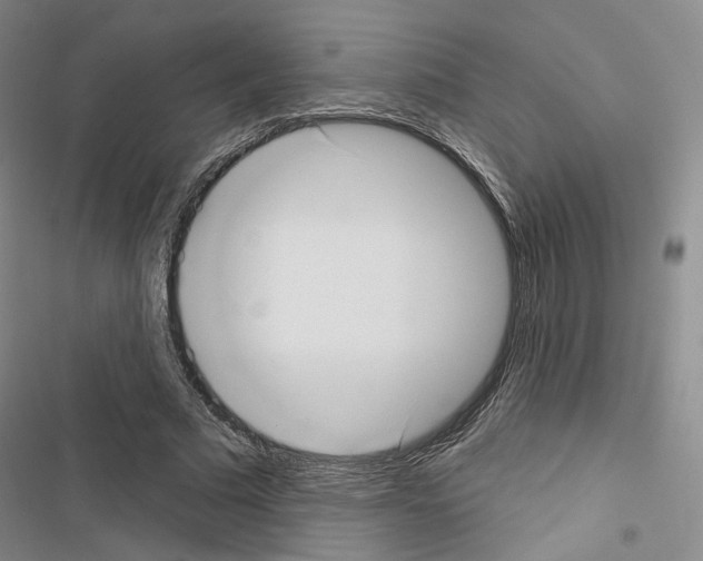 X0000116650681201001251157