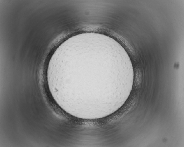 X0000116650682201001251157