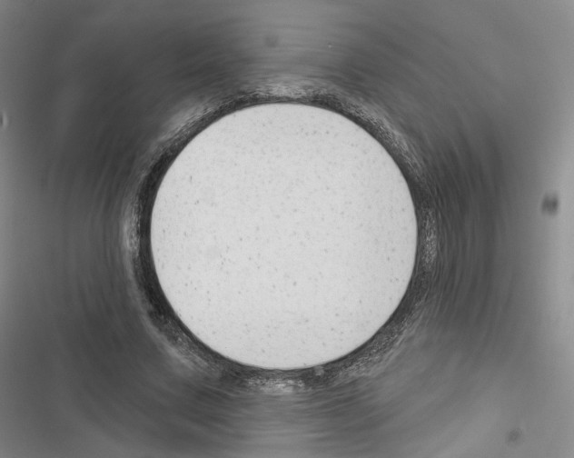 X0000116650683201001251157