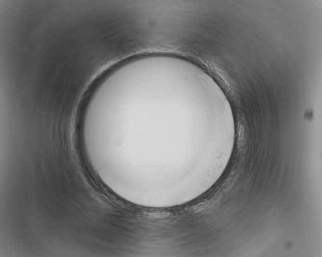 X0000116650684201001251157