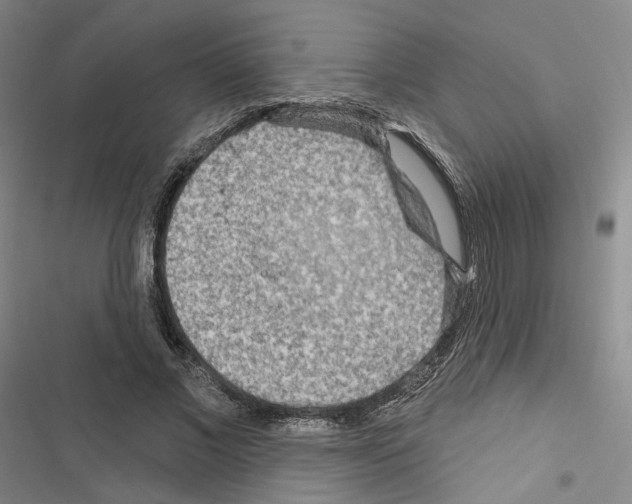 X0000116650685201001251157
