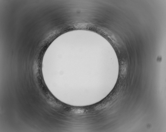 X0000116650687201001251157