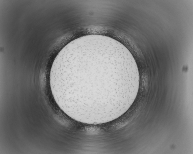 X0000116650690201001251157