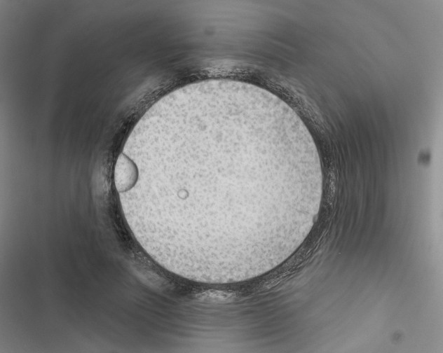 X0000116650691201001251157