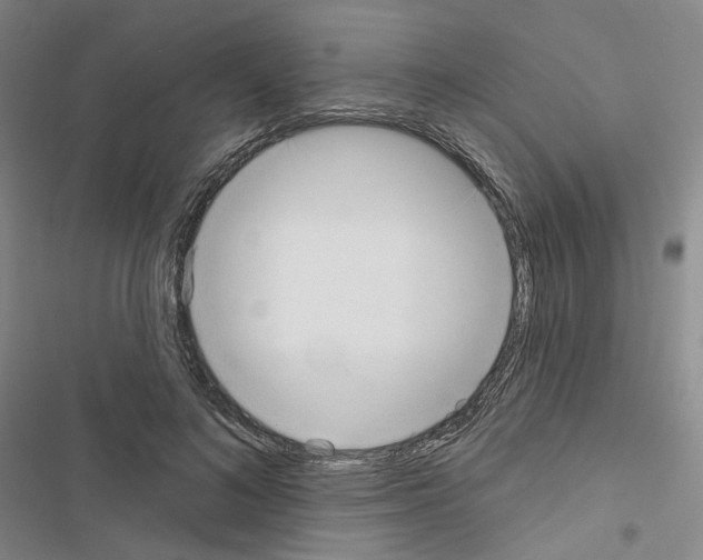 X0000116650692201001251157