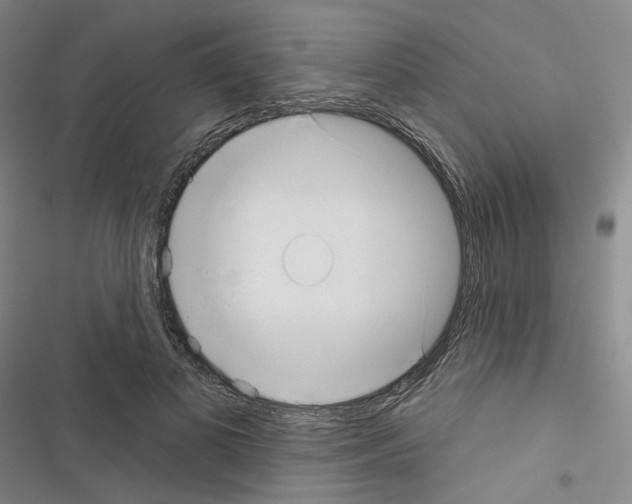 X0000116650693201001251157