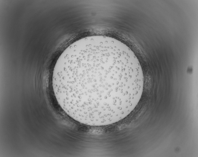 X0000116650694201001251157