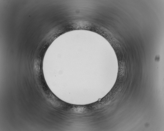 X0000116650695201001251157