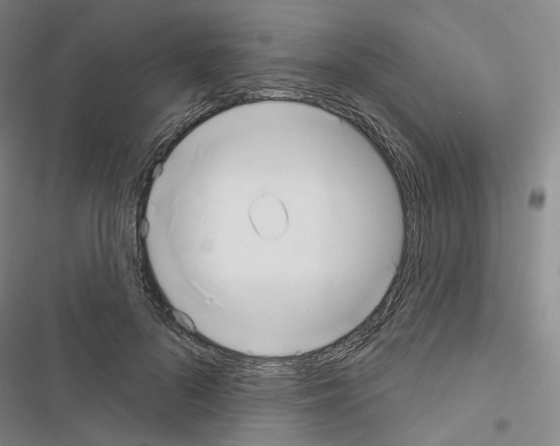 X0000116650696201001251157