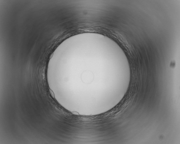 X0000116650697201001251157