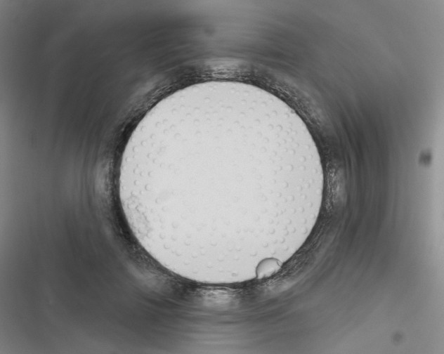 X0000116650698201001251157
