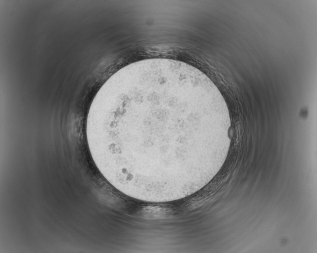 X0000116650699201001251157
