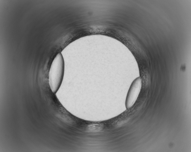 X0000116650700201001251157
