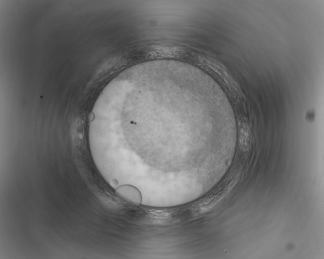 X0000116650701201001251157