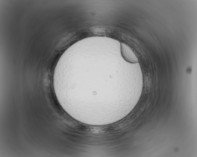 X0000116650702201001251157