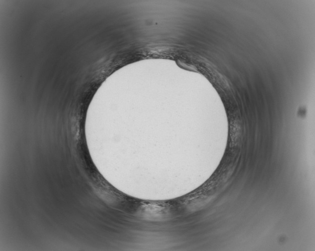 X0000116650703201001251157