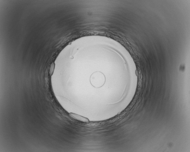 X0000116650704201001251157