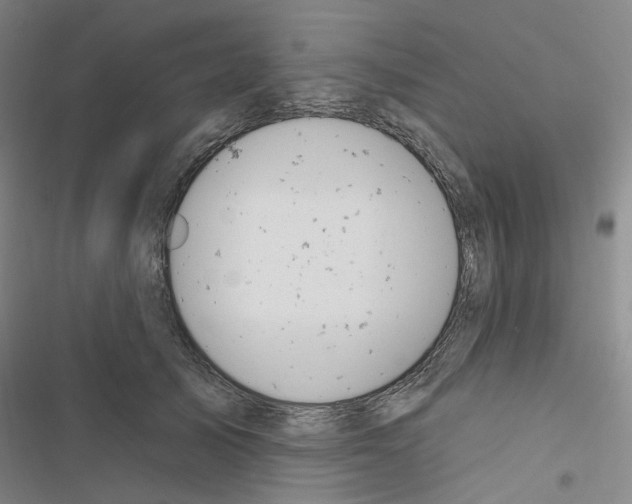 X0000116650705201001251157