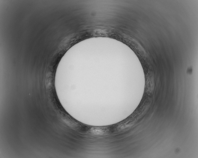 X0000116650706201001251157