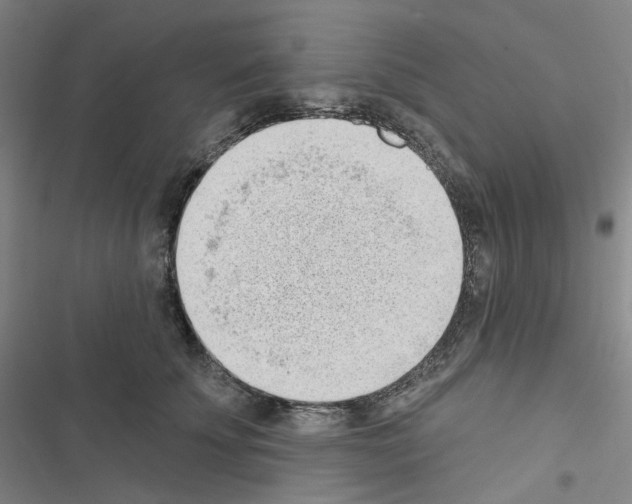 X0000116650707201001251157