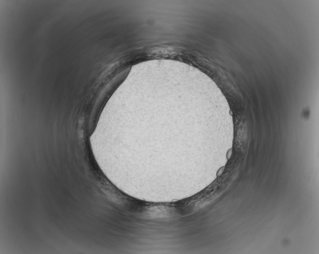 X0000116650708201001251157