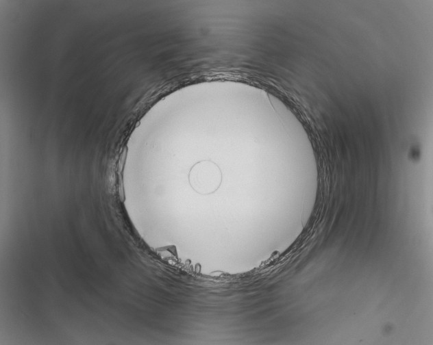 X0000116650709201001251157