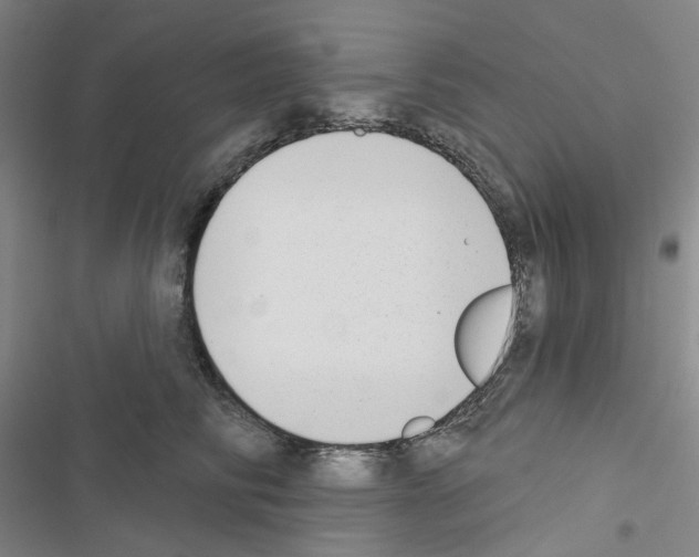 X0000116650710201001251157