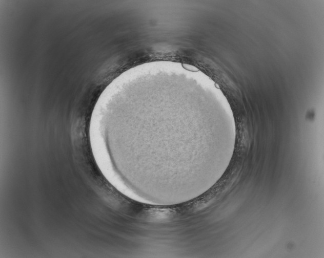 X0000116650711201001251157