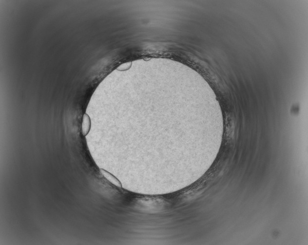 X0000116650712201001251157