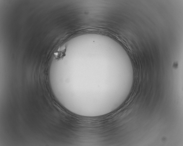 X0000116650713201001251157