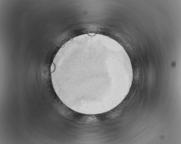 X0000116650715201001251157