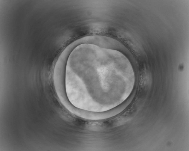 X0000116650716201001251157